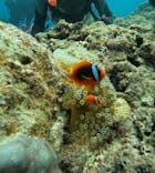 武藤潜水に投稿された画像（2025/9/3）