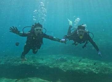 武藤潜水に投稿された画像（2025/9/3）