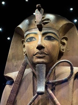 ACN ラムセス大王展 ファラオたちの黄金に投稿された画像（2025/9/3）