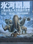 特別展「氷河期展 〜人類が見た4万年前の世界〜」（国立科学博物館）に投稿された画像（2025/9/3）