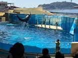 新江ノ島水族館に投稿された画像（2025/9/3）