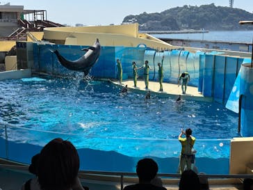 新江ノ島水族館に投稿された画像（2025/9/3）