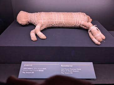 ACN ラムセス大王展 ファラオたちの黄金に投稿された画像（2025/9/3）