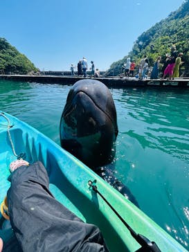 太地町立くじらの博物館に投稿された画像（2025/9/3）