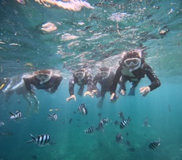 沖縄マリンサービス碧に投稿された画像（2025/9/3）