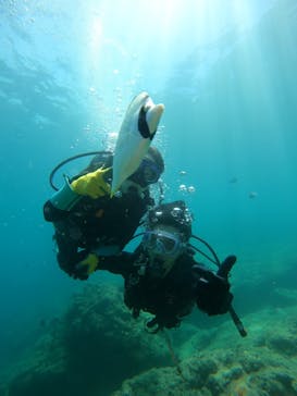 武藤潜水に投稿された画像（2025/9/3）