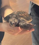 串本海中公園水族館に投稿された画像（2025/9/3）