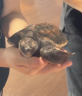 串本海中公園水族館に投稿された画像（2025/9/3）