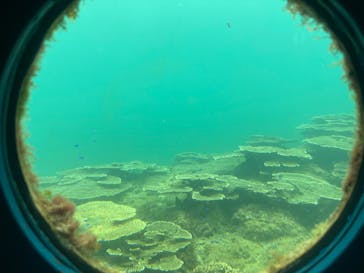 串本海中公園水族館に投稿された画像（2025/9/3）