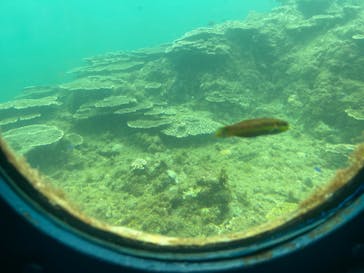 串本海中公園水族館に投稿された画像（2025/9/3）