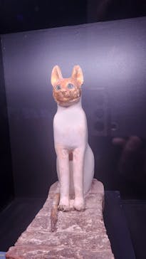 ACN ラムセス大王展 ファラオたちの黄金に投稿された画像（2025/9/3）