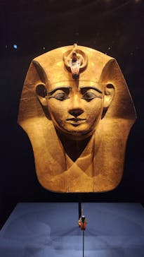 ACN ラムセス大王展 ファラオたちの黄金に投稿された画像（2025/9/3）