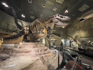 国立科学博物館に投稿された画像（2025/9/3）