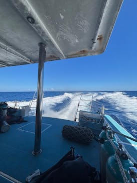 M.a.r.i.n.e Factoryに投稿された画像（2025/9/3）