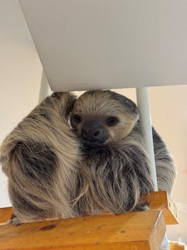 アニタッチ 東京ドームシティに投稿された画像（2025/9/3）