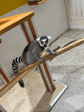 アニタッチ 東京ドームシティに投稿された画像（2025/9/3）