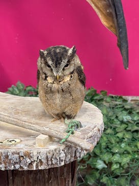 アニタッチ 東京ドームシティに投稿された画像（2025/9/3）