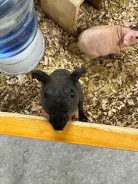 アニタッチ 東京ドームシティに投稿された画像（2025/9/3）