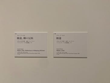 モネ 睡蓮のとき（豊田会場）に投稿された画像（2025/9/3）