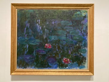 モネ 睡蓮のとき（豊田会場）に投稿された画像（2025/9/3）