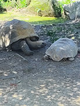 長崎バイオパークに投稿された画像（2025/9/3）