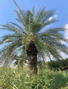 しらこばと水上公園（埼玉県公園緑地協会）に投稿された画像（2025/9/3）