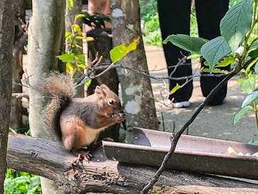 那須どうぶつ王国に投稿された画像（2025/9/3）