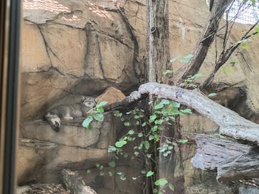 那須どうぶつ王国に投稿された画像（2025/9/3）