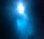 沖縄マリンサービス碧に投稿された画像（2025/9/3）