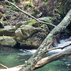 ゼログラビティに投稿された画像（2025/9/3）