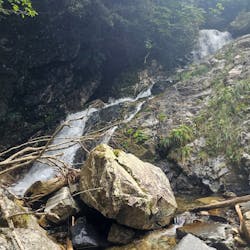 ゼログラビティに投稿された画像（2025/9/3）