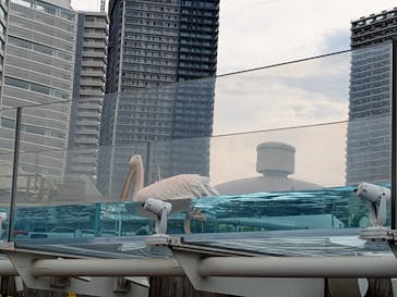 サンシャイン水族館に投稿された画像（2025/9/3）