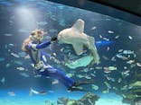 サンシャイン水族館に投稿された画像（2025/9/3）