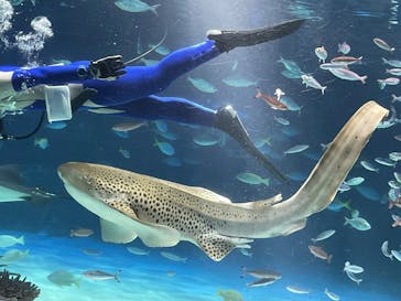 サンシャイン水族館に投稿された画像（2025/9/3）