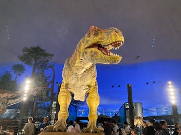 福井県立恐竜博物館に投稿された画像（2025/9/3）