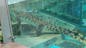 NIFREL（ニフレル）に投稿された画像（2025/9/3）