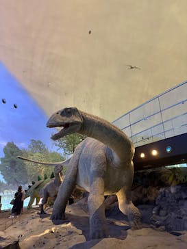 福井県立恐竜博物館に投稿された画像（2025/9/3）