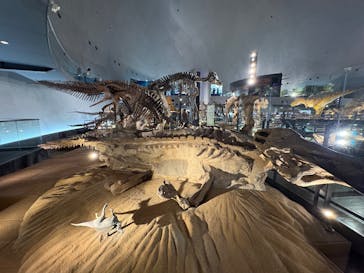 福井県立恐竜博物館に投稿された画像（2025/9/3）