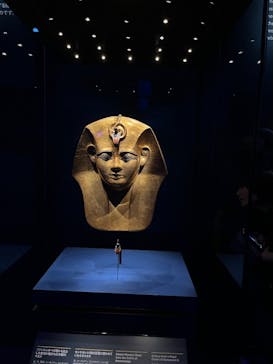 ACN ラムセス大王展 ファラオたちの黄金に投稿された画像（2025/9/3）