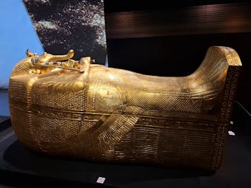 MYSTERY OF TUTANKHAMEN 体感型古代エジプト展に投稿された画像（2025/9/3）