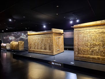 MYSTERY OF TUTANKHAMEN 体感型古代エジプト展に投稿された画像（2025/9/3）