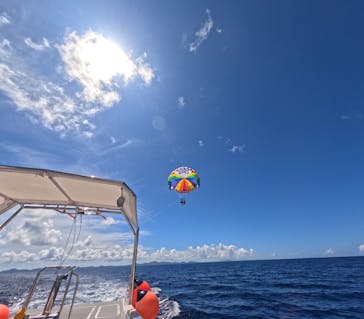 マリンショップ マーメイドに投稿された画像（2025/9/3）