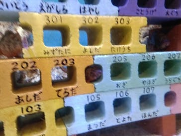 竹島水族館に投稿された画像（2025/9/3）