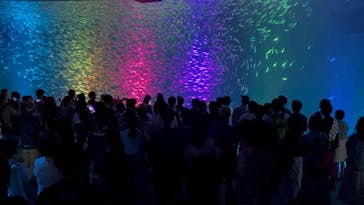 名古屋港水族館に投稿された画像（2025/9/3）