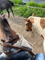 Moon River Horseに投稿された画像（2025/9/3）