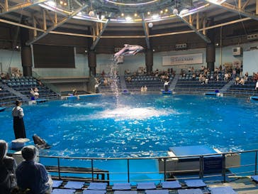 マクセル アクアパーク品川に投稿された画像（2025/9/3）