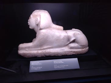 ACN ラムセス大王展 ファラオたちの黄金に投稿された画像（2025/9/3）