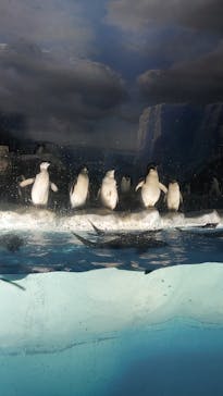 名古屋港水族館に投稿された画像（2025/9/3）