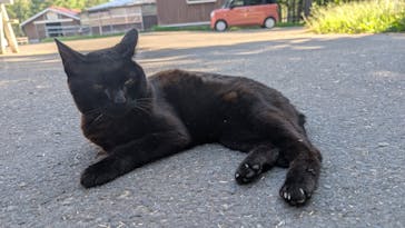 ノーザンホースパークに投稿された画像（2025/9/4）