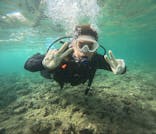 武藤潜水に投稿された画像（2025/9/4）